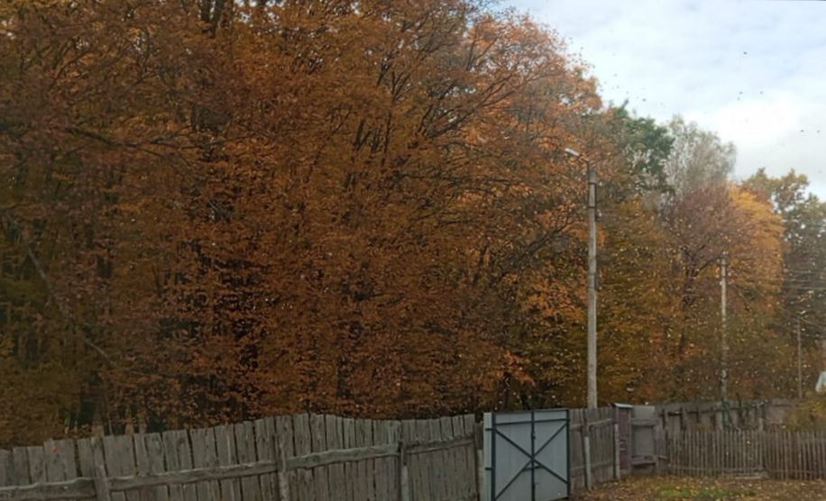 Электричество внезапно пропало в домах на окраине Новозыбкова