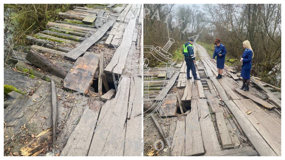 Вот по такому чудо-мосту ходят в деревню в Погарском районе 