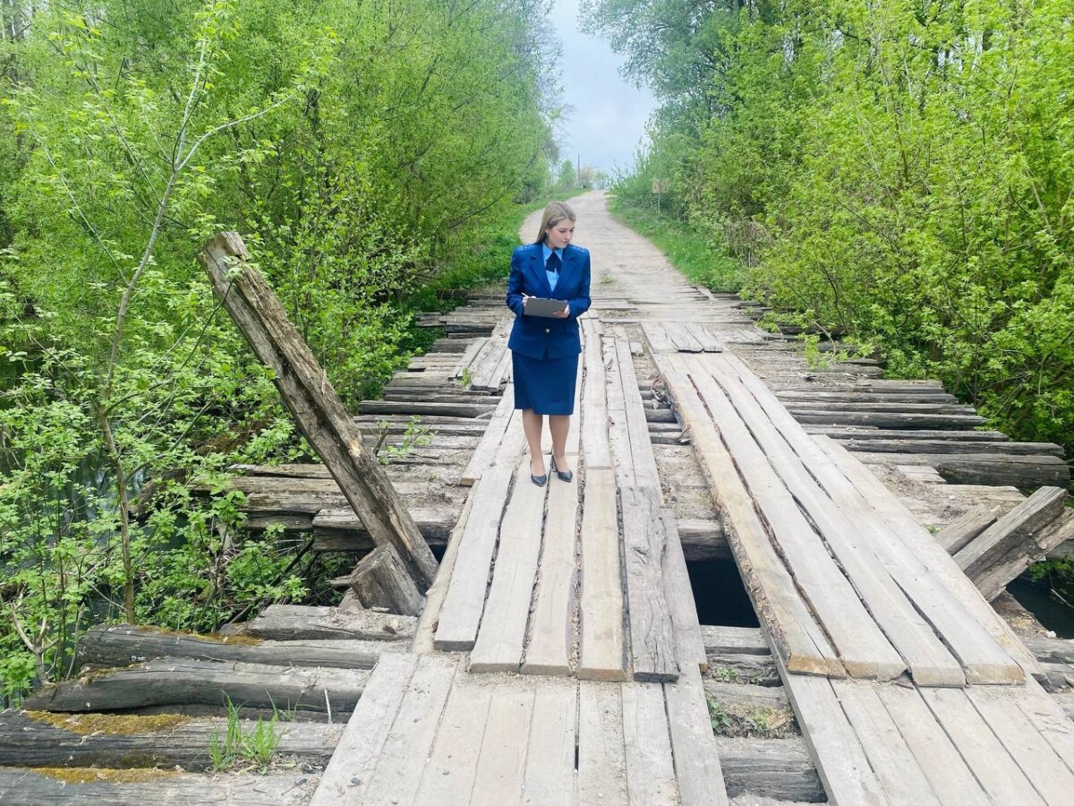 Следком России заинтересовался состояние моста в деревне Брянской области