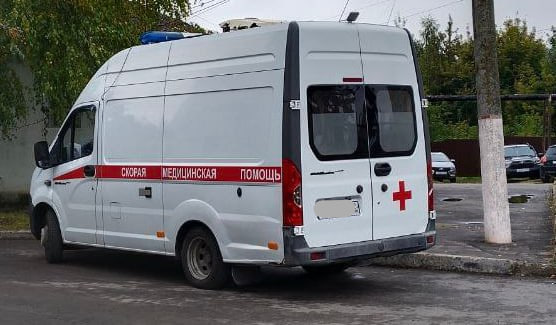 В Брянске трижды отменяли уголовное дело в связи с нападением собаки на ребенка