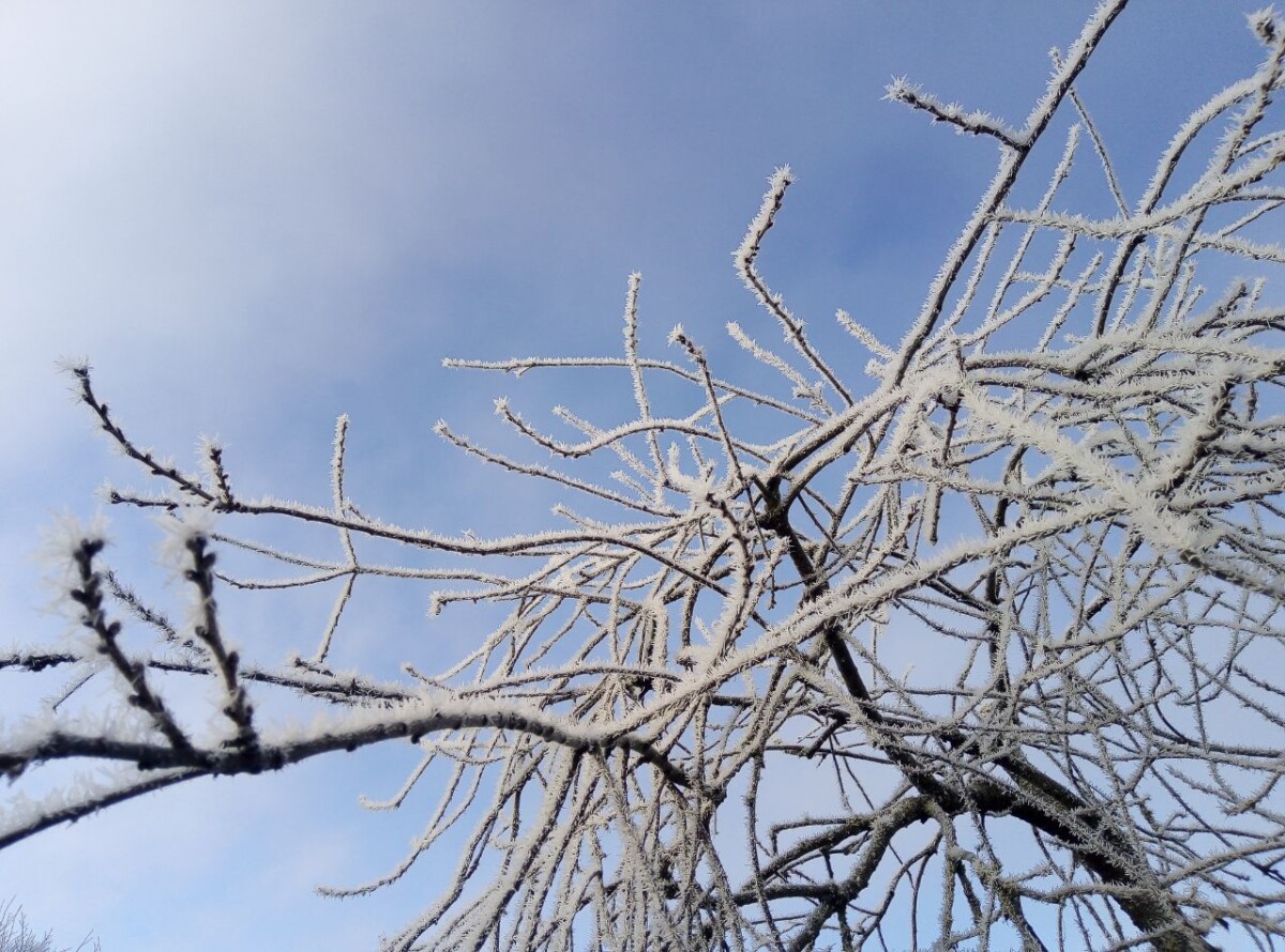 Рекордного за 250 лет мороза этой зимой не будет