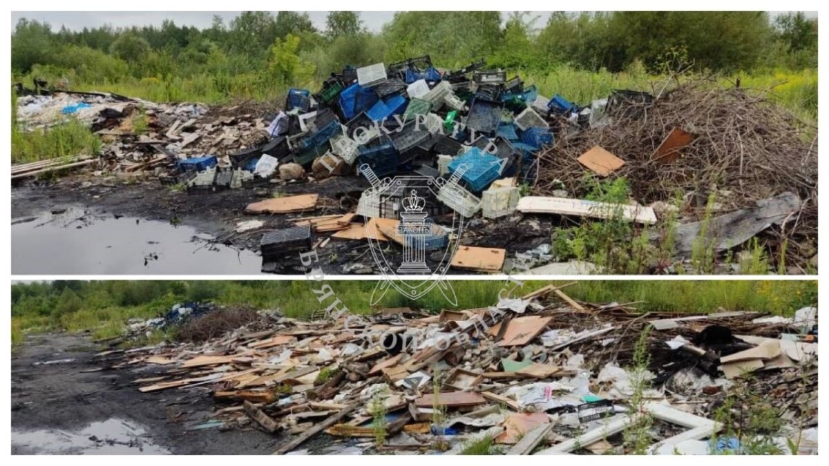 От властей Брянска потребовали ликвидировать свалку в Володарском районе