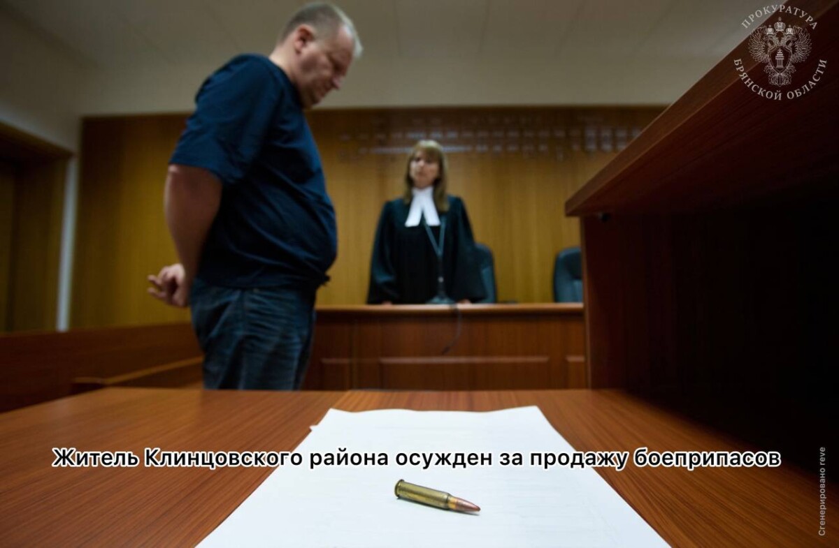 Житель Клинцов осужден за торговлю патронами