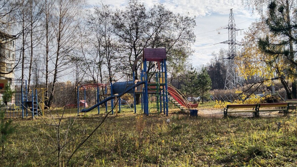 Большинство детей отдыхали летом в пришкольных лагерях Брянской области