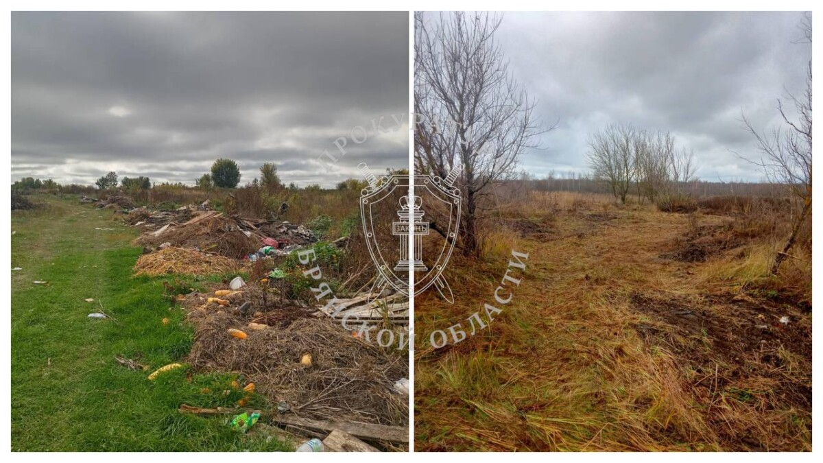 В Брянской области прокуратура добилась ликвидации свалки площадью почти в гектар