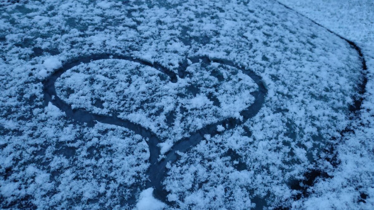 Туман, дождь и приморозок возможен в первый день зимы в Брянской области