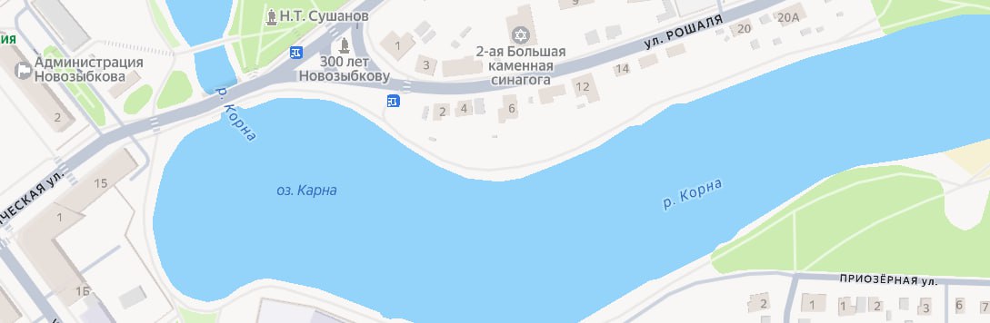 Очевидец заснял масляные пятна в озере в центре Новозыбкова