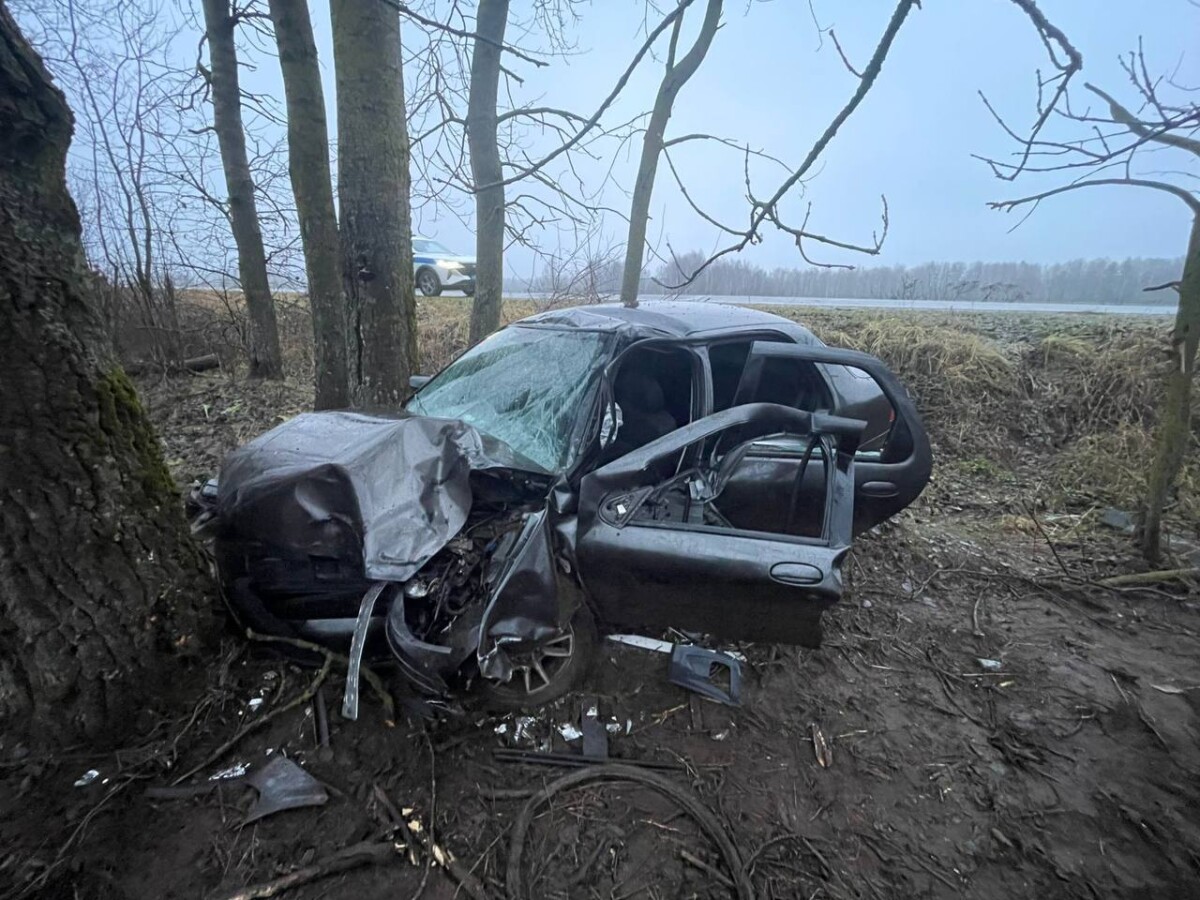 Пьяный водитель разбил машину под Дубровкой, сам выжил