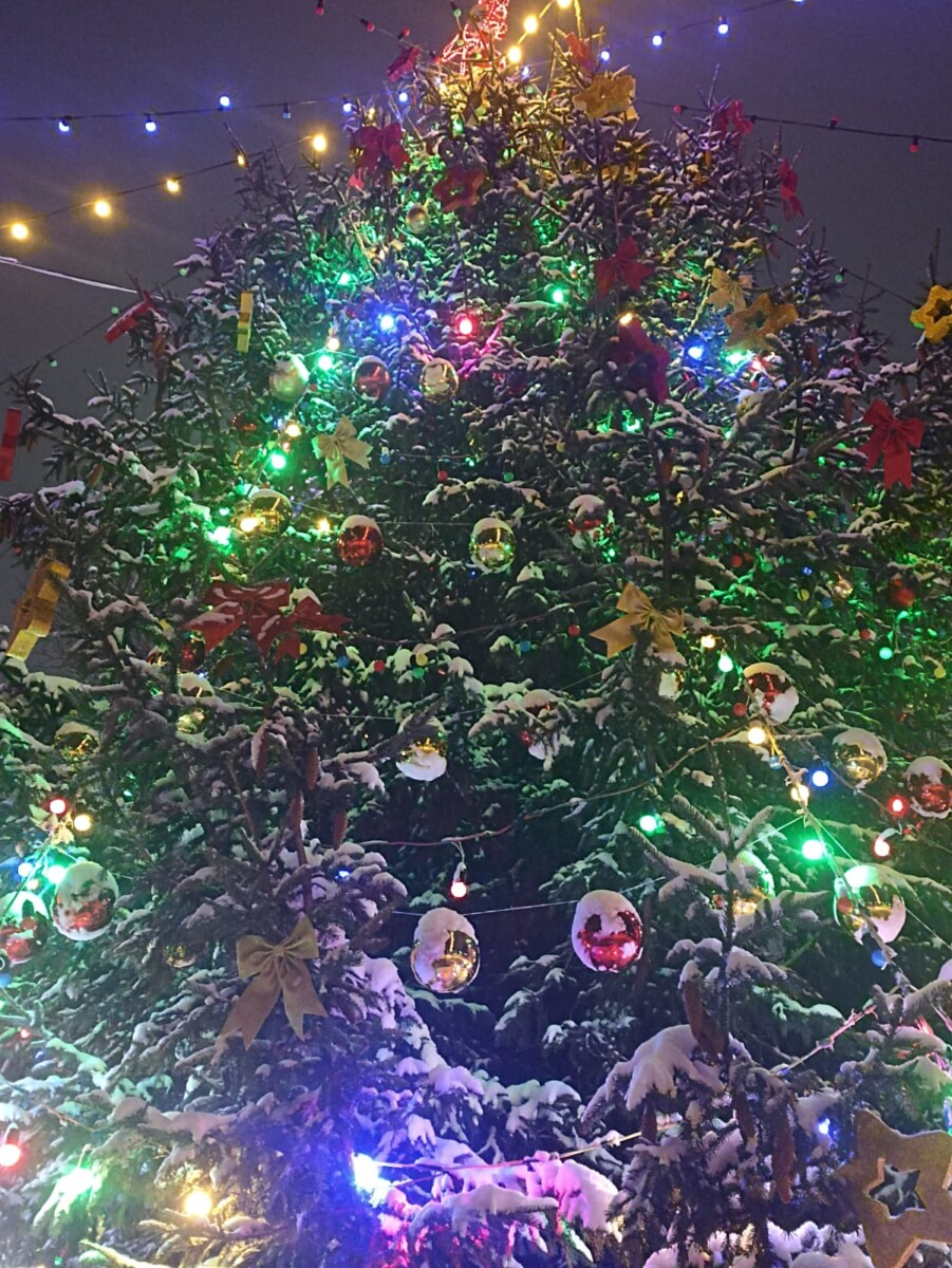 Главную новогоднюю ель привезут в четверг в Брянск из посёлка Большое Полпино