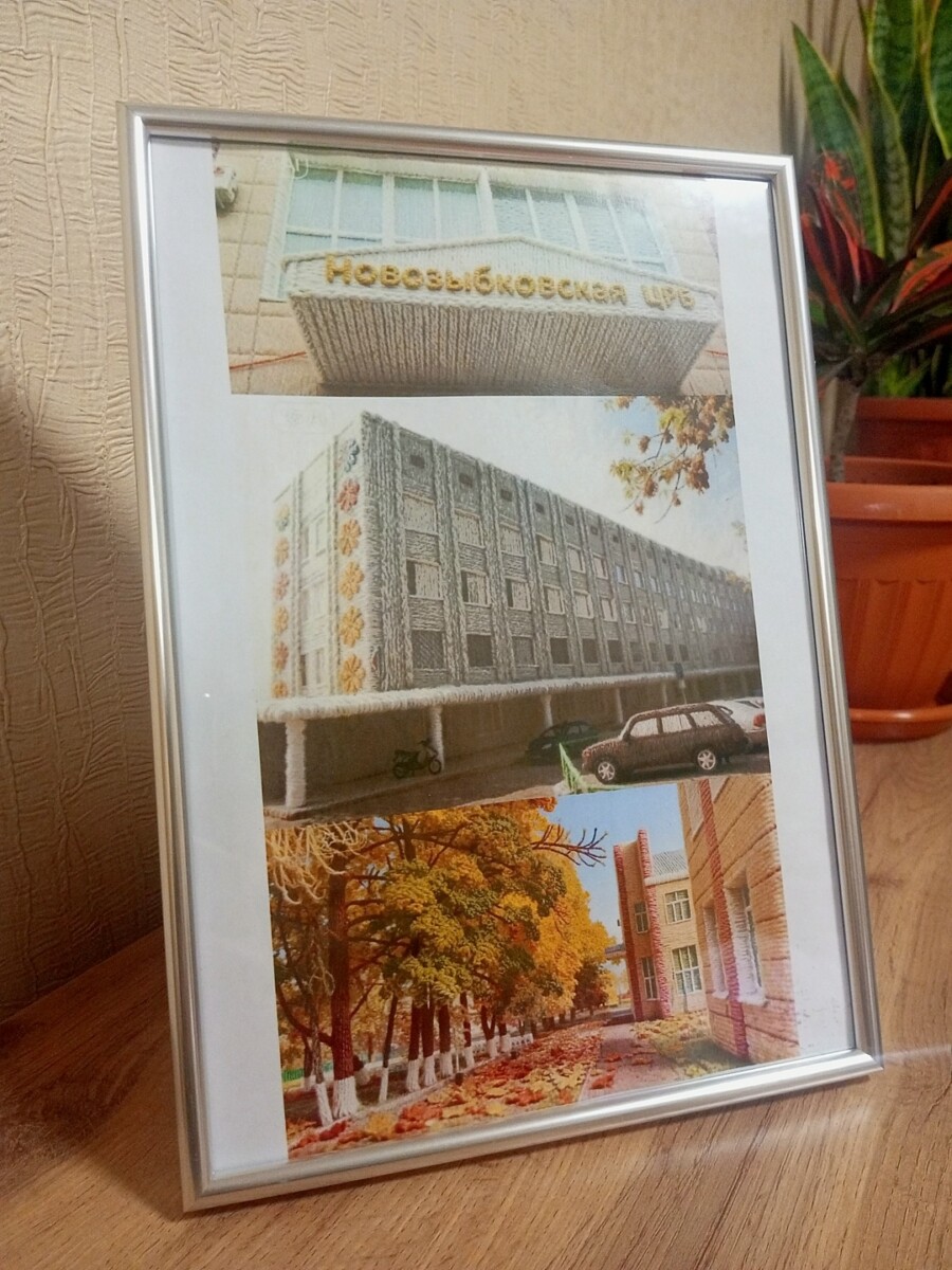 Девочка из Новозыбкова Брянской области поздравила весь коллектив НЦРБ