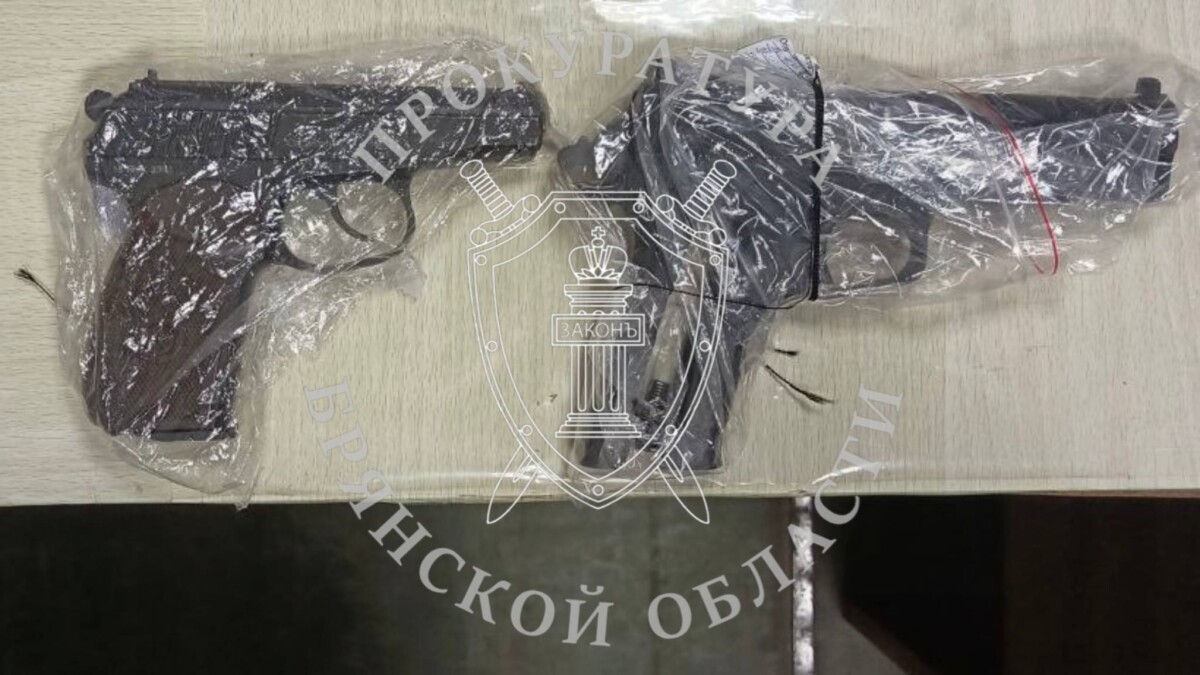 В ночь на 27 ноября в селе Замишево Новозыбковского округа двое мужчин забрались в чужой дом