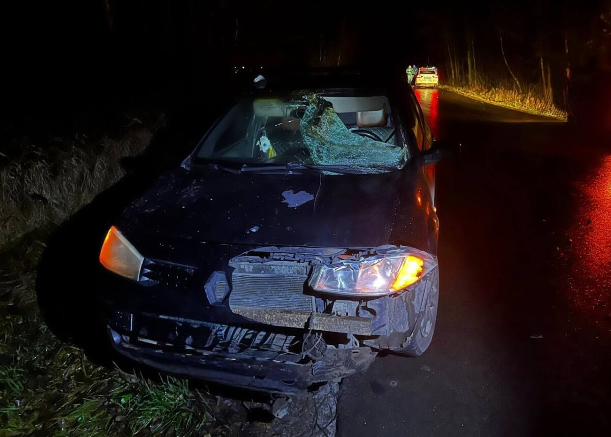 Мужчина попал под автомобиль на дороге между Погаром и Стечкой