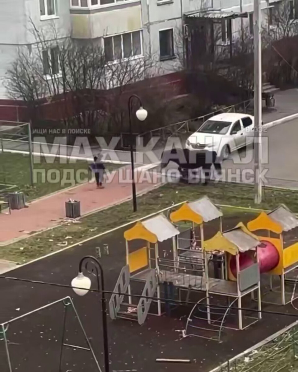 В Брянске на детской площадке лошадь сбила ребенка