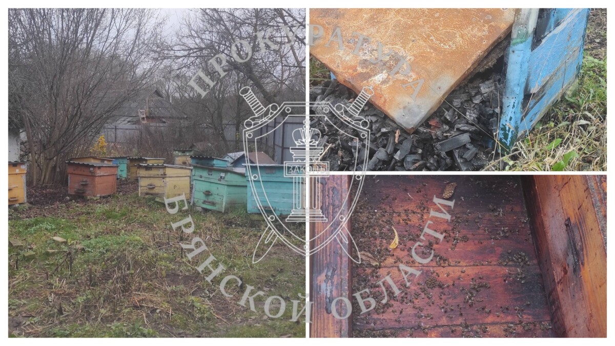 Соседка спалила пасеку в Рогнединском районе