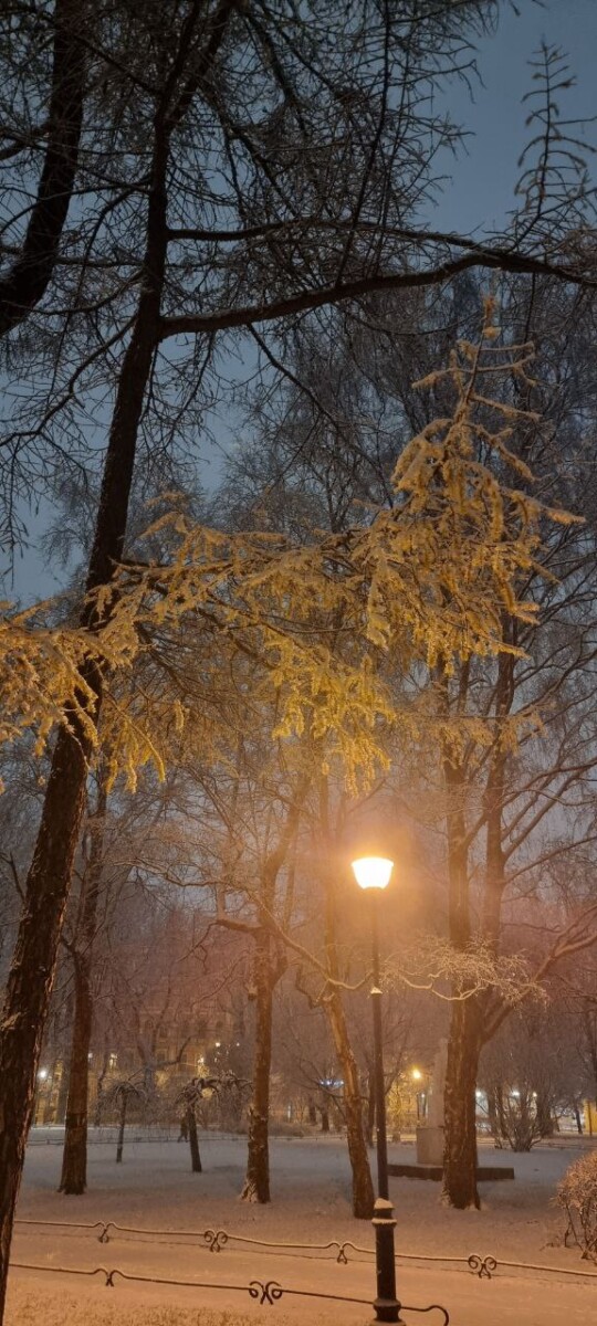 Примерно каждый второй декабрь в Центральной России начинается без снега