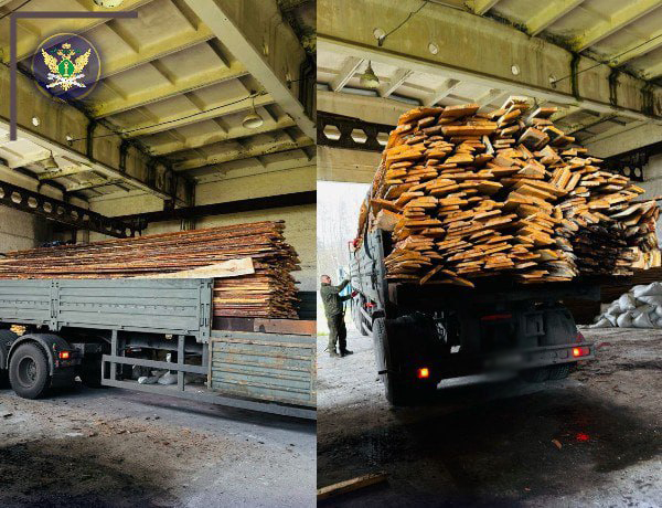 В помощь на СВО отправлены конфискованные в Брянской области пиломатериалы