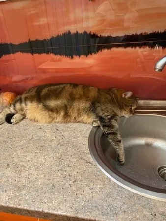 В Новозыбкове отключат воду, ограничения коснутся не всех