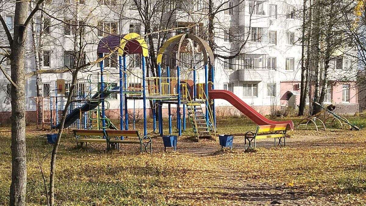 В Брянске из бюджета выплатят компенсацию за нападение стаи собак на девочку