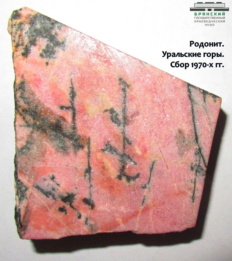 В Брянском краеведческом музее хранят редкий экспонат