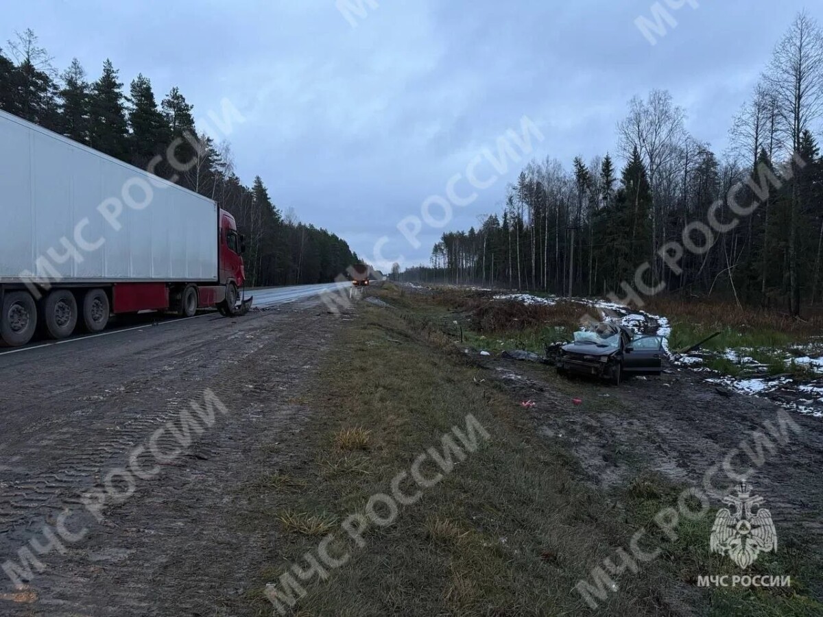 На брянской трассе у фуры лопнуло колесо и водитель легковушки уходил от столкновения, но не получилось