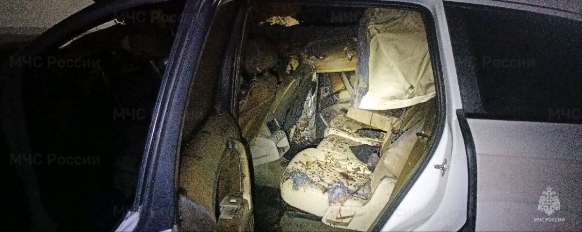 Пожар под Новозыбковом Брянской области