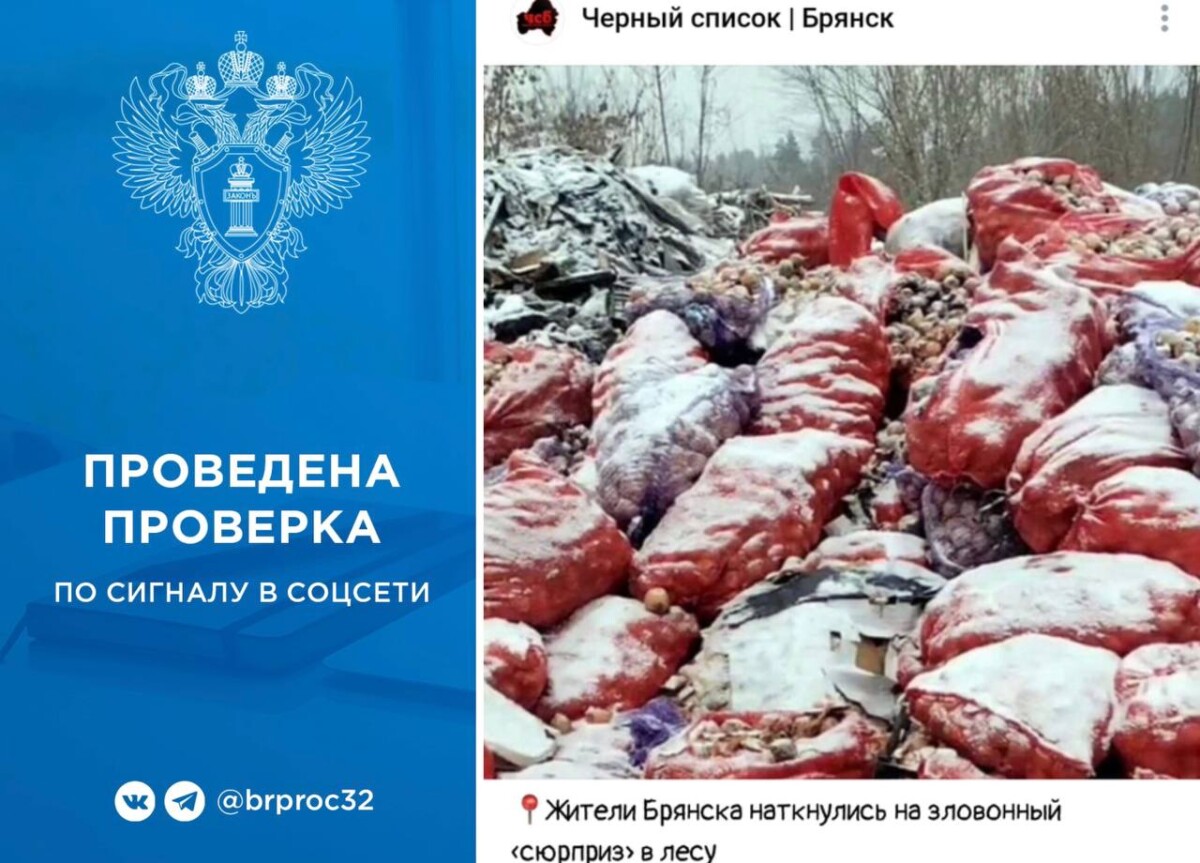 В Брянской области добиваются ликвидации свалки в лесу