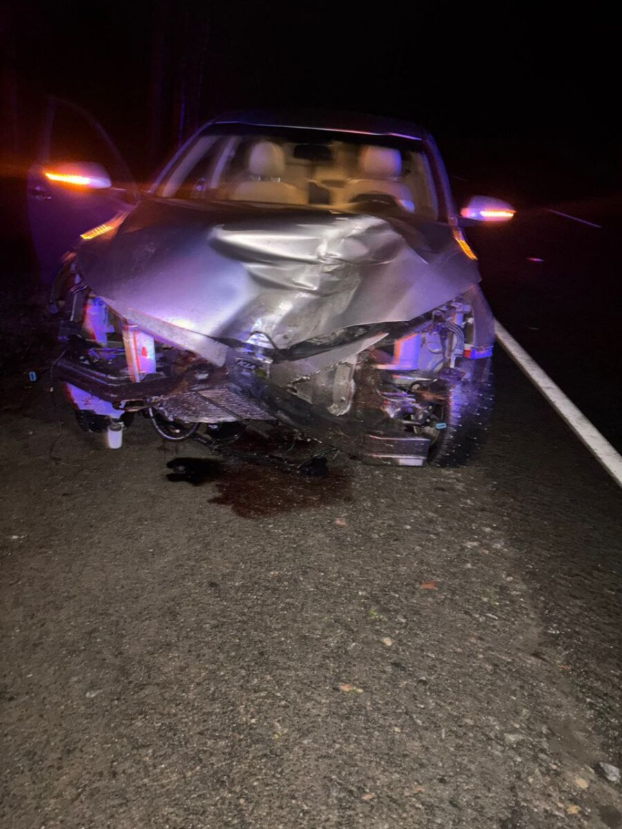 Автомобиль влетел в лежащее на брянской трассе дерево