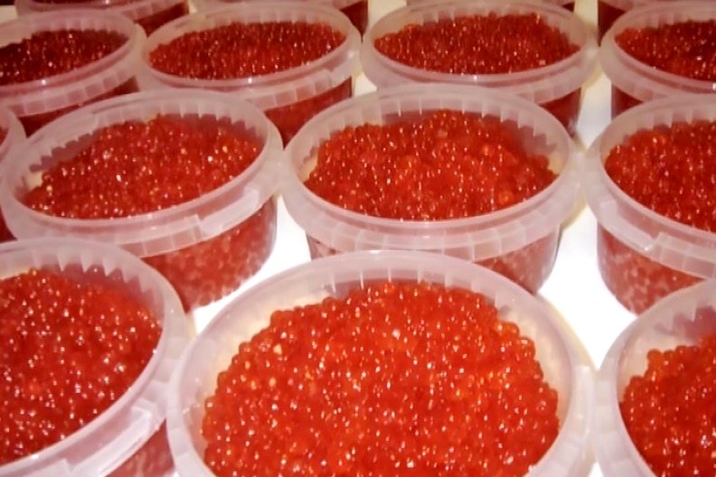 Россельхознадзор дал брянским покупателям советы по покупке лососевой икры