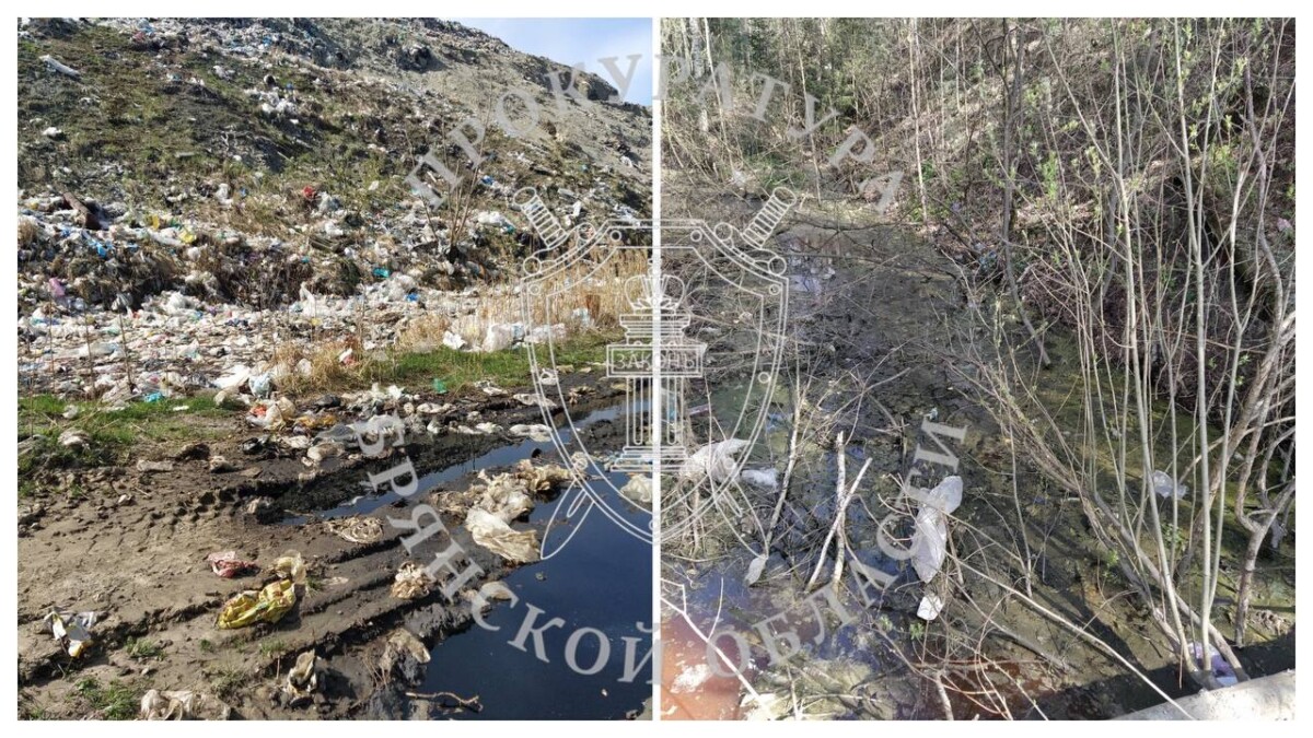 АО «Чистая планета» выкатили счет на миллионы за нарушения в содержании полигона под Брянском