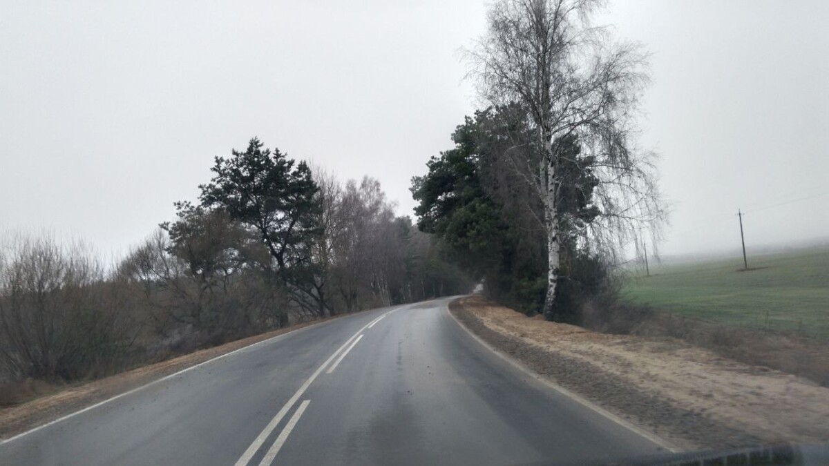 То дождь, то мокрый снег в Брянской области, на дорогах скользко