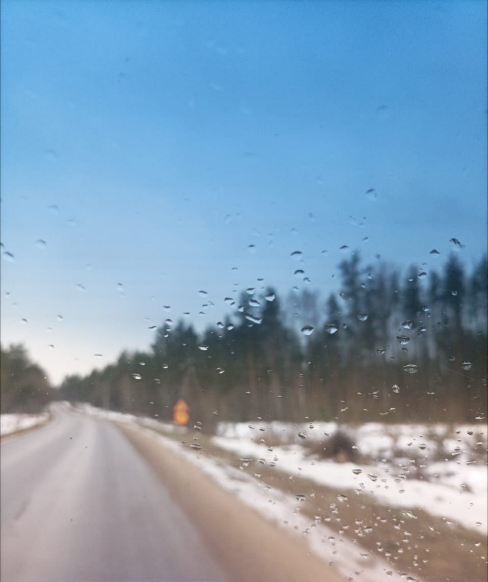 Ребёнок пострадал в дорожной аварии под Клинцами в Брянской области 