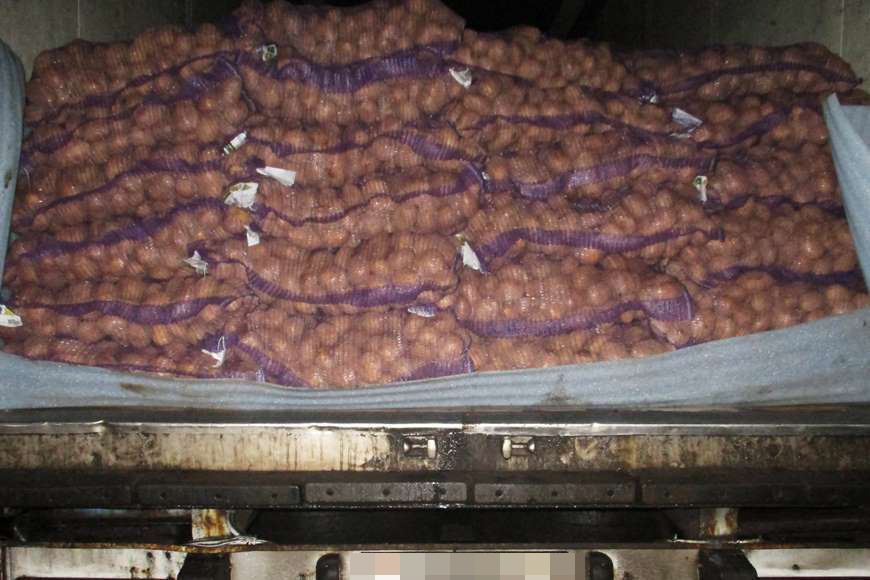 В Брянскую область из Беларуси ввезли тонны контрафактного картофеля