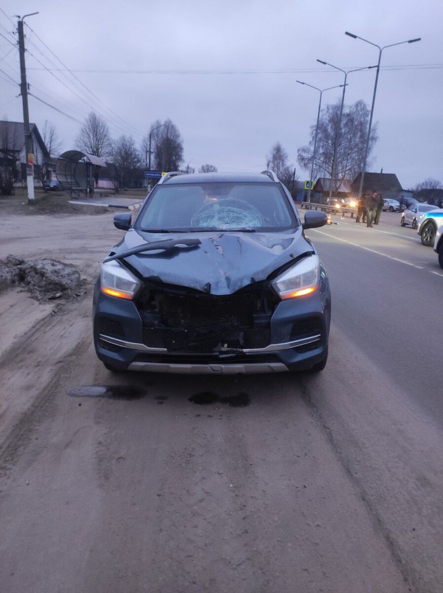 Водитель, сбившая насмерть человека в Климово Брянской области, нарушила ПДД