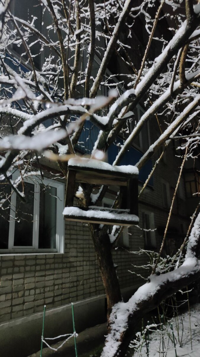 Сироту в Новозыбкове Брянской области вселили в непригодное жилье