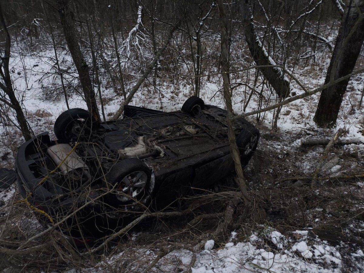 По пути из Злынки в Денисковичи на брянской трассе произошло ДТП