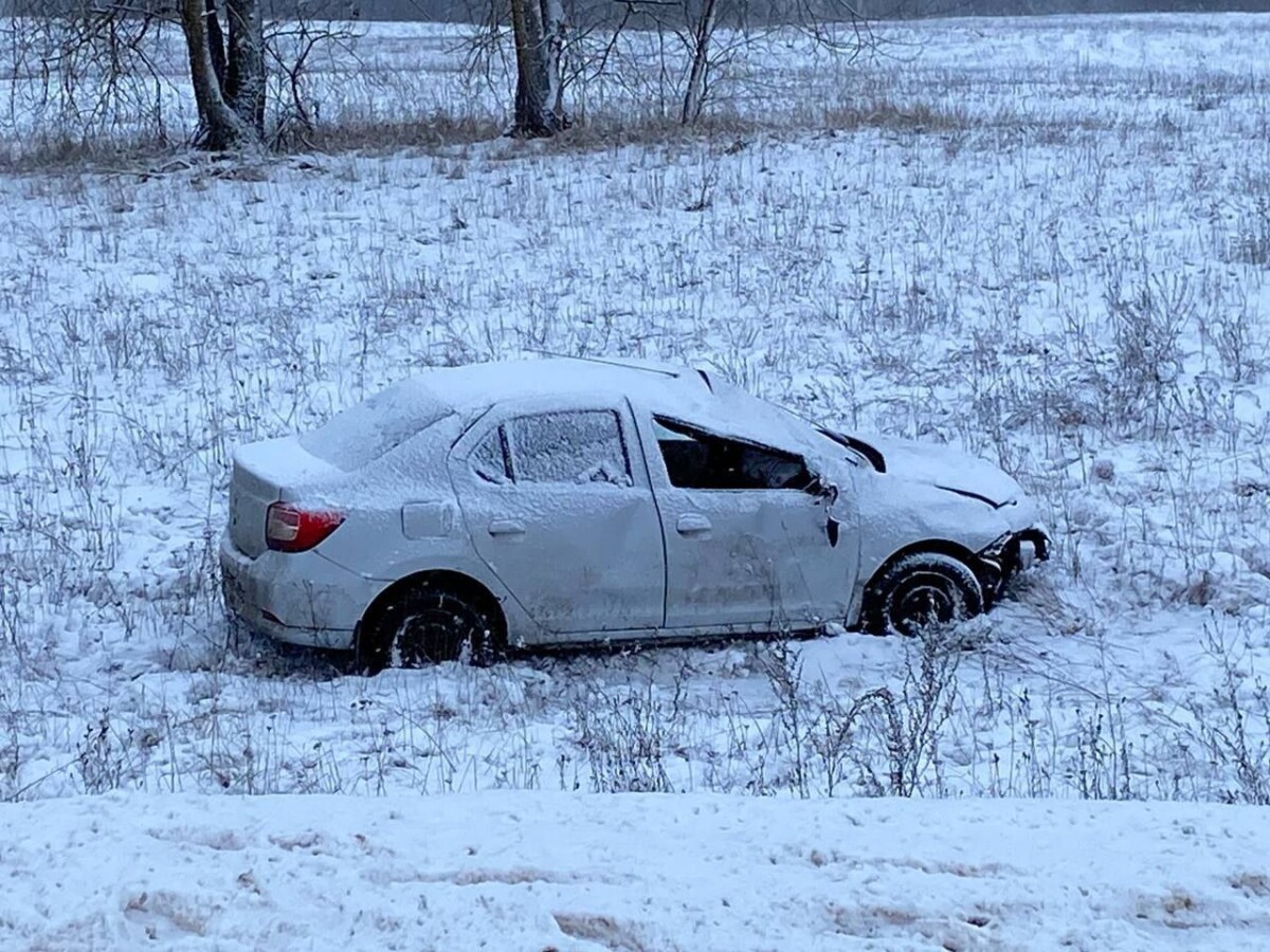 В Брянской области водитель превысил скорость и улетел в кювет  
