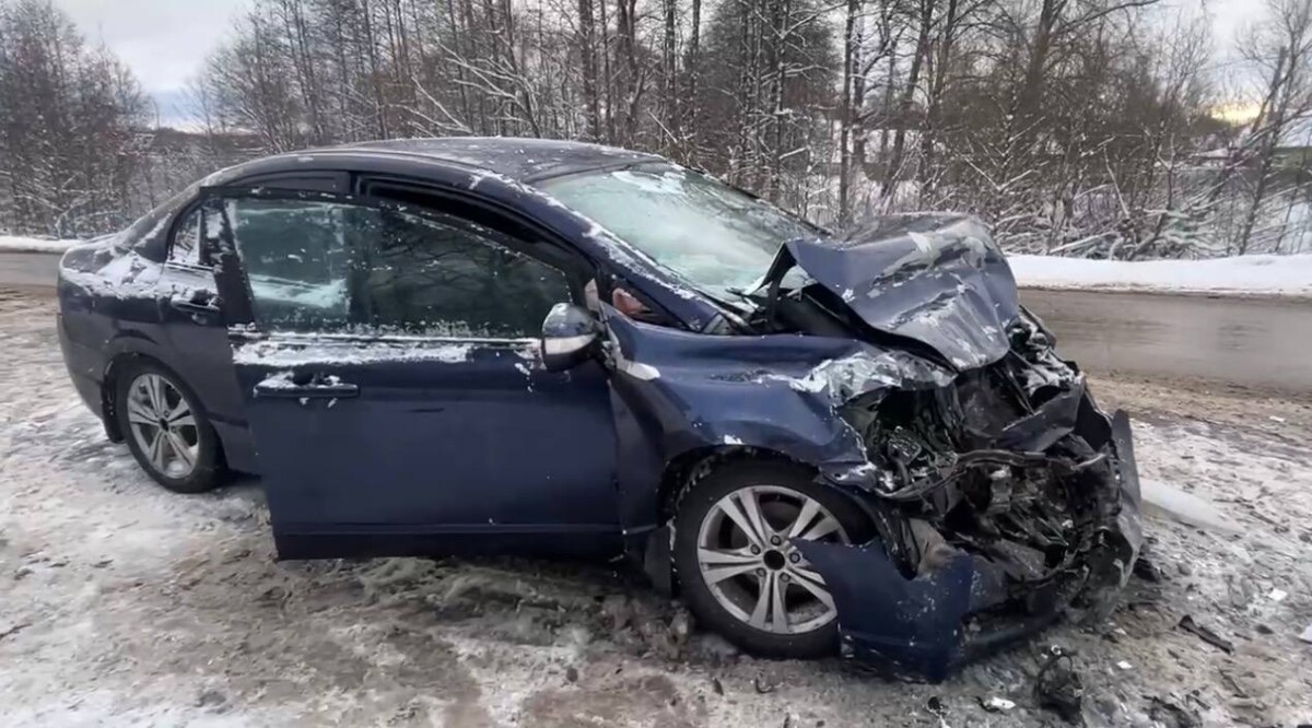 Пять человек пострадали в аварии в Брянской области