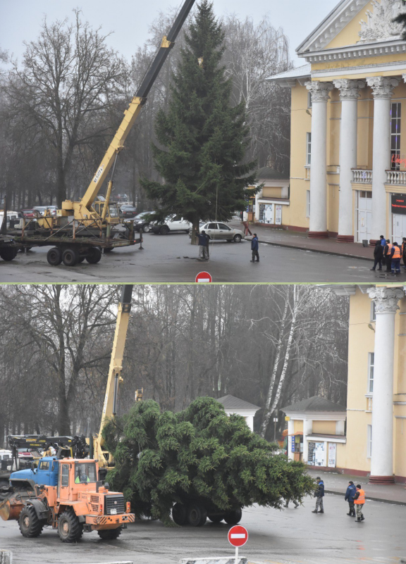 В Дятьково установили новогоднюю ель