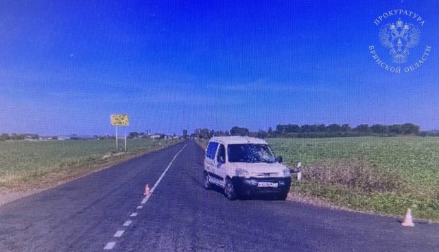 Сбивший насмерть человека на брянской трассе признал вину