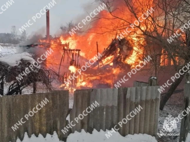 В Брянской области сгорел дом и погиб мужчина