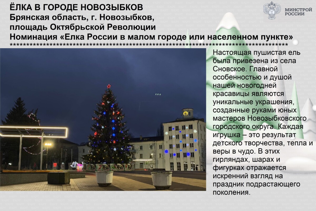 Ещё можно успеть проголосовать за ель из Брянской области