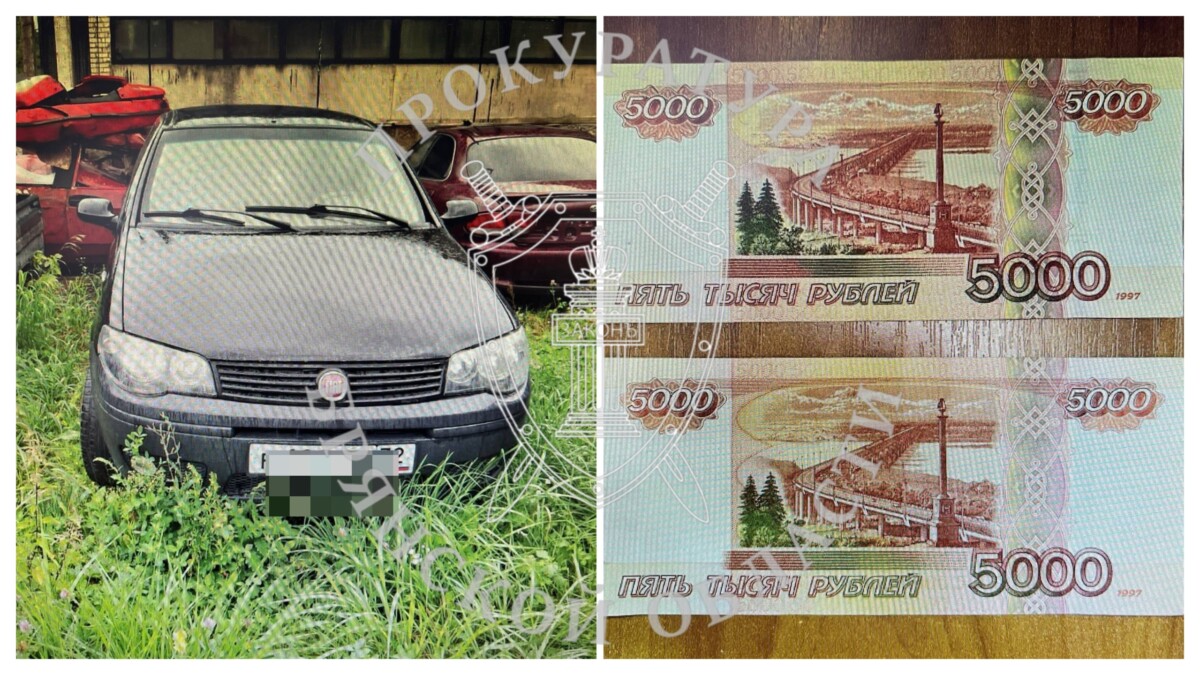 Житель Климово получил судимость и лишился автомобиля из-за пьянства