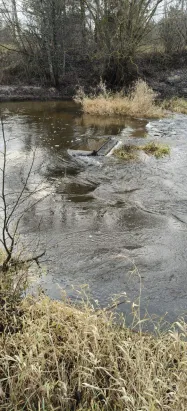 Девять тел утонувших подняли за год водолазы отряда спасателей Брянской области
