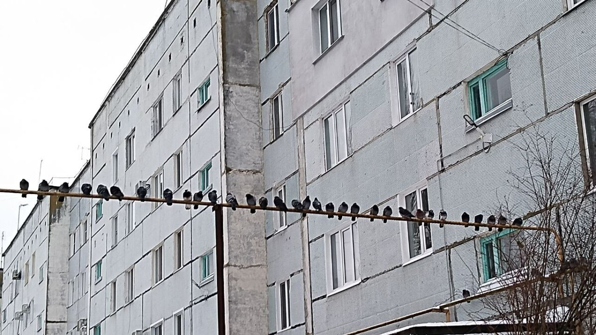 Жители Новозыбкова пожаловались на холод в квартирах