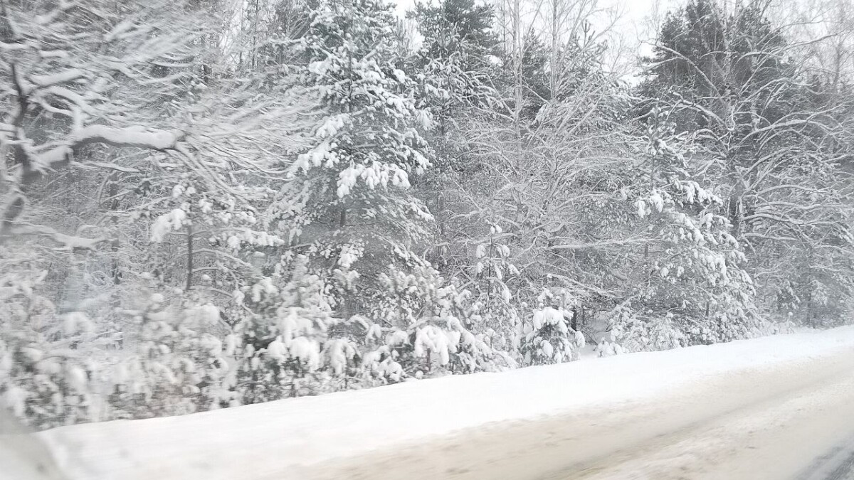 Сбитый насмерть на брянской трассе мужчина остановился на обочине, чтобы помочь