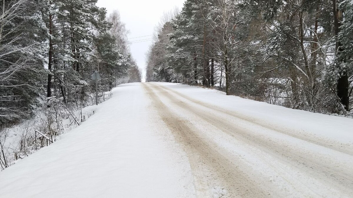 Водителя с кузовом телят остановили на трассе под Новозыбковом Брянской области