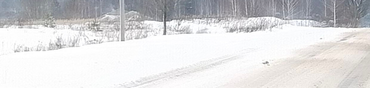 Ушибы головы и колена у велосипедиста, сбитого в Новозыбкове Брянской области  