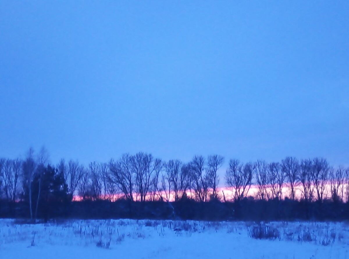 Брянскую область накроет снегопад