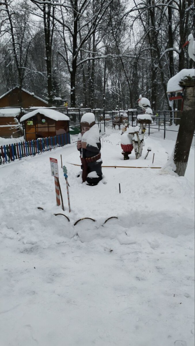 Ночью в Брянской области возможен снег с дождем!