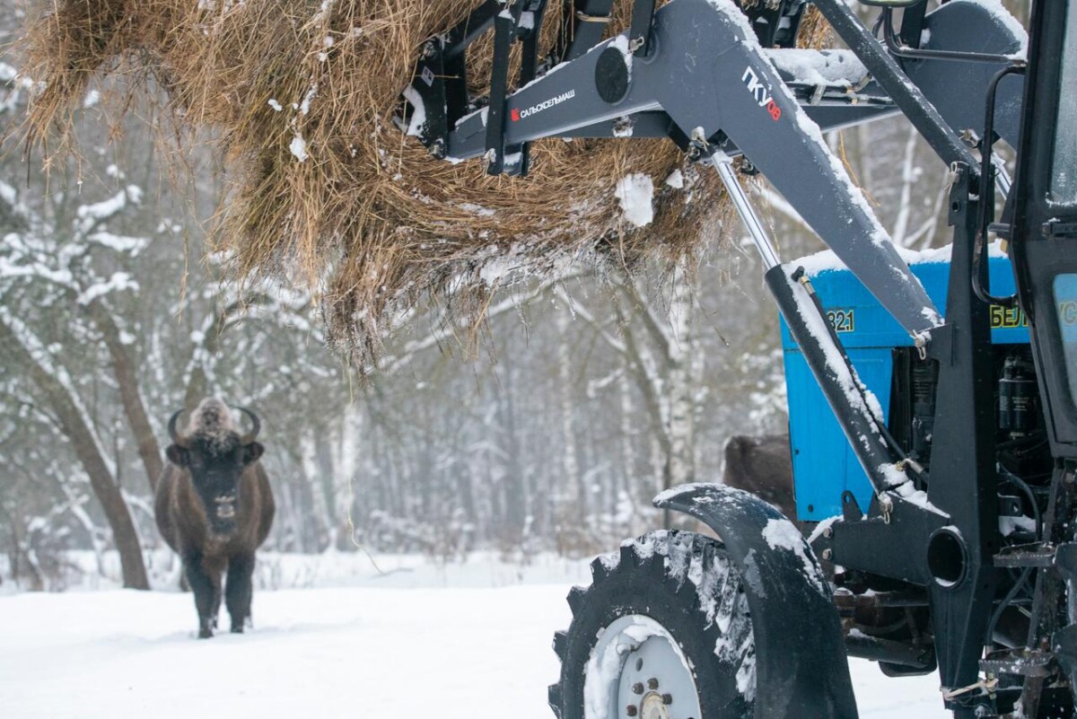 Работу мечты показали в брянском заповеднике